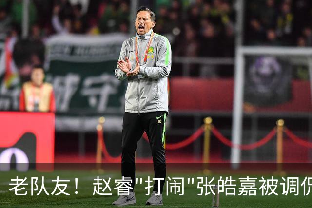 老队友！赵睿"打闹"张皓嘉被调侃发型 布朗陈盈骏崔永熙焦泊乔合照留念